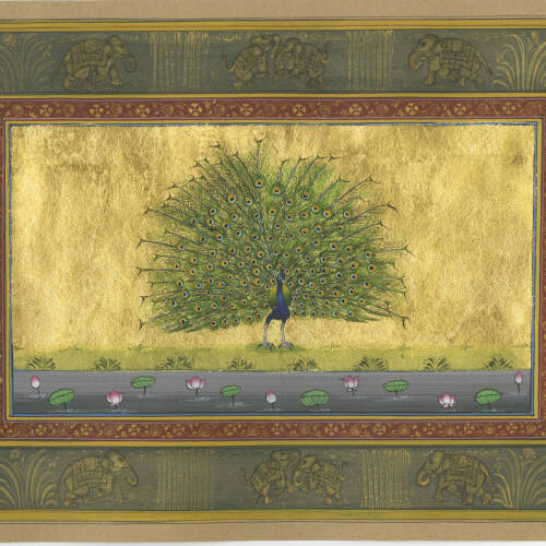 Indian miniature painting of a peacock surrounded in gold leaf.